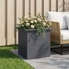 Product Thumbnail Image 2 of 12