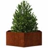 Product Thumbnail Image 7 of 11