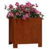 Product Thumbnail Image 3 of 11