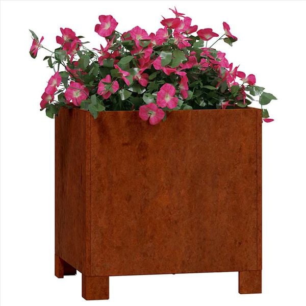Showing Product Image 3 of 11