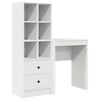vidaXL Desk with Drawer 2 pcs White