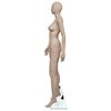 Product Thumbnail Image 3 of 7