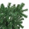 Product Thumbnail Image 4 of 8
