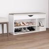 vidaXL Shoe Bench with Cushion High Gloss White 104x30x49 cm Engineered Wood
