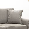 vidaXL Throw Pillows 2 pcs Light Grey 40x40 cm Velvet
