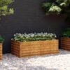 vidaXL Garden Raised Bed 100 x 50 x 36 cm