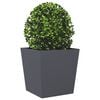 Product Thumbnail Image 8 of 10