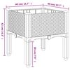 Product Thumbnail Image 8 of 8