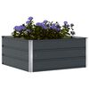 vidaXL Planter Anthracite 100 x 100 x 45 cm Steel