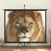 Product Thumbnail Image 2 of 7