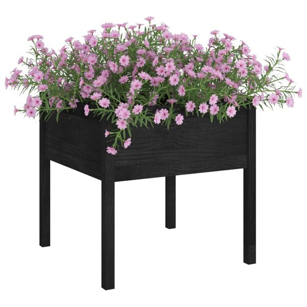 vidaXL Garden Planters 2 pcs Black 70x70x70 cm Solid Pinewood