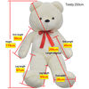 Product Thumbnail Image 5 of 5