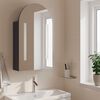 vidaXL Bathroom Mirror Cabinet with LED Light Arched Grey 42x13x70 cm