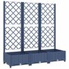 Blue_grey