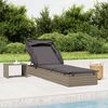 vidaXL Sunbed with Foldable Roof Grey 213x63x97 cm Poly Rattan