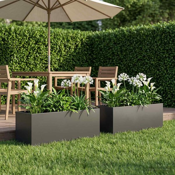 Showing Product Image 2 of 8