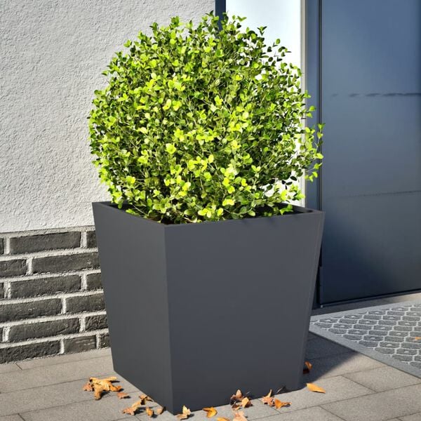 Showing Product Image 2 of 12