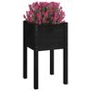 vidaXL Garden Planter Black 40x40x70 cm Solid Pinewood