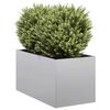 Product Thumbnail Image 2 of 10
