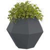 vidaXL Planter 2 pcs Anthracite 100 x 100 x 80 cm Steel