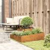 vidaXL Garden Planter Brown 100 x 100 x 50 cm Weather Steel