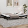 vidaXL Pull-out Day Bed without Mattress Black 2x(90x190) cm