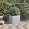 Product Thumbnail Image 3 of 12