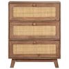 vidaXL Sideboard 61x35x76 cm Solid Mango Wood