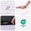 vidaXL Bonnell Spring Mattress Medium 152x203 cm Queen Size
