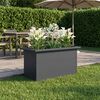 Product Thumbnail Image 3 of 13