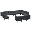 vidaXL 13 Piece Garden Lounge Set with Cushions Black Pinewood