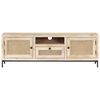 vidaXL TV Cabinet 120x30x40 cm Solid Mango Wood and Natural Cane