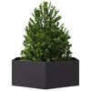 Product Thumbnail Image 8 of 10