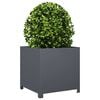 Product Thumbnail Image 3 of 10