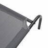 vidaXL Elevated Dog Bed Grey 150x90x20 cm Textilene and Steel