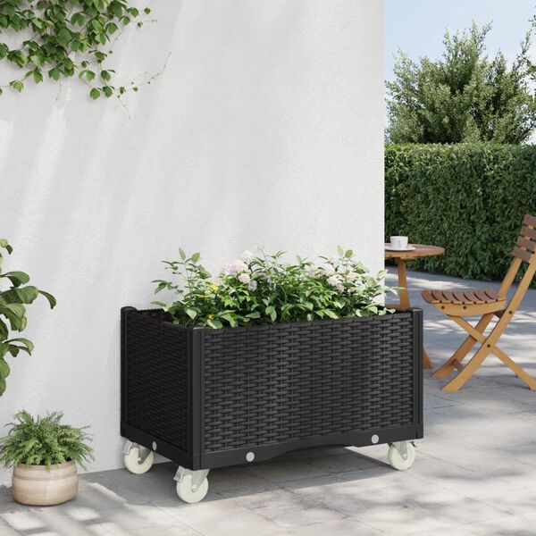Showing Product Image 2 of 7