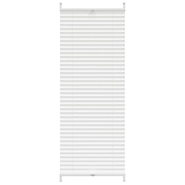 Plisse Blind 60x100cm White Pleated Blind