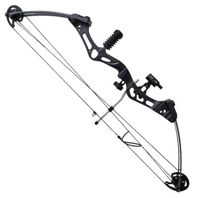 Adult Compound Bow with Accessories and Fiberglass Arrows