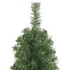 Product Thumbnail Image 4 of 7