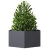Product Thumbnail Image 6 of 8