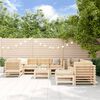vidaXL 10 Piece Garden Lounge Set with Cushions Solid Wood