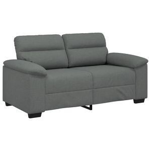 vidaXL 2-Seater Sofa Dark Grey 160x81x84 cm Fabric
