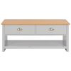 vidaXL Coffee Table Grey 100x50x42 cm