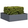 vidaXL Planter Anthracite 100x100x30 cm Steel