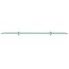 vidaXL Floating Shelves 2 pcs Glass 100x10 cm 8 mm
