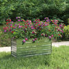 Product Thumbnail Image 2 of 8