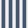 vidaXL Outdoor Pillows 2 pcs Stripe Print 60x40 cm Navy
