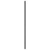 vidaXL Wall Mirror Black 50x80 cm Rectangle Iron