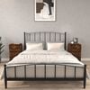 Product Thumbnail Image 2 of 12