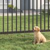 Product Thumbnail Image 2 of 9